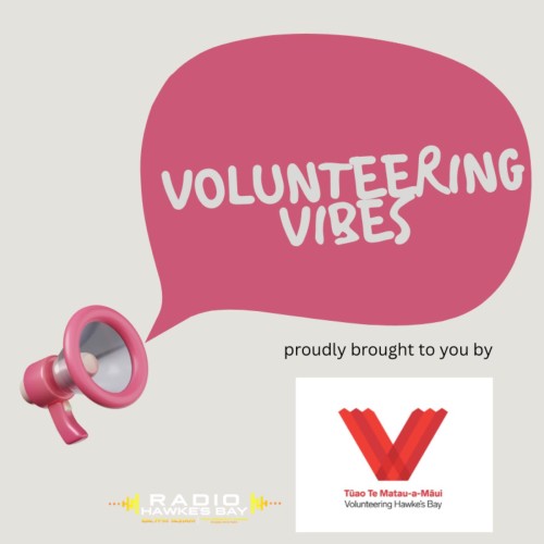 Volunteering Vibes