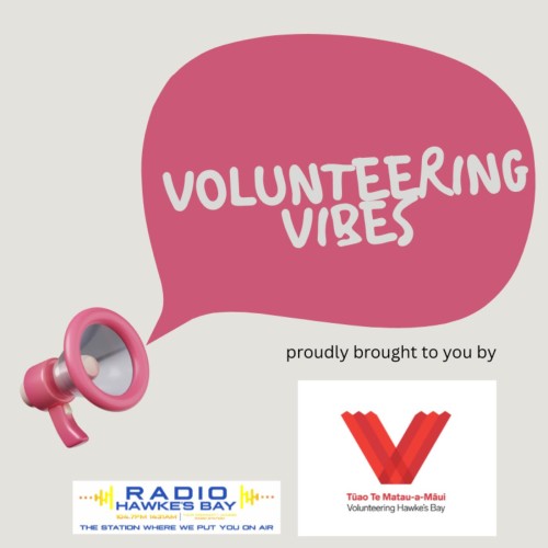 Volunteering Vibes