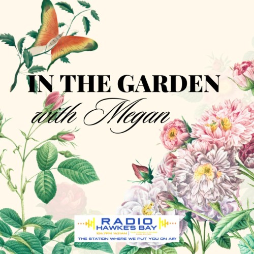 In the Garden with Megan - Gardening tips and a yummy recipe with Megan Williams