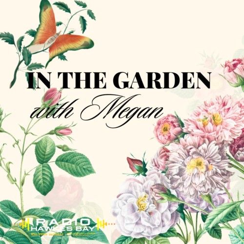 In the Garden with Megan - Gardening tips and a yummy recipe with Megan Williams