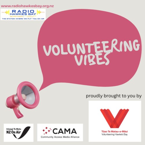 Volunteering Vibes